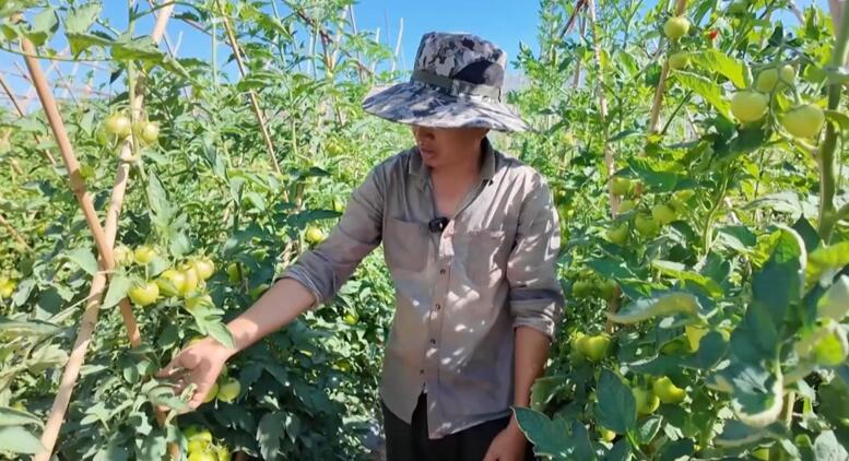 4000品種亮相 寧夏種業(yè)博覽會(huì)將啟幕