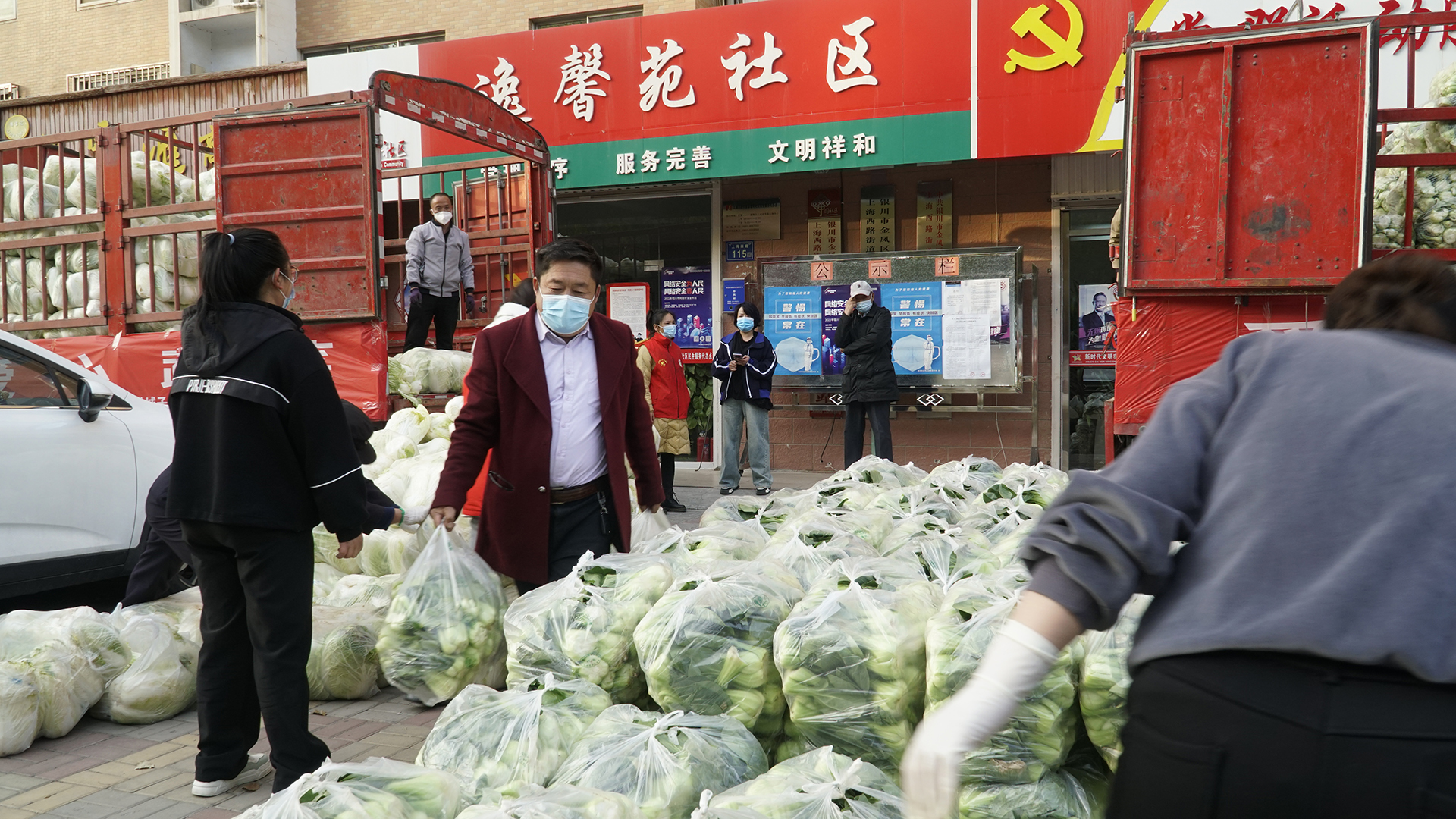 _DSC5503.jpg _DSC5503.jpg