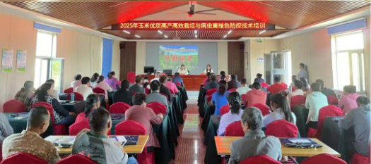 玉米優(yōu)質(zhì)高產(chǎn)高效培訓(xùn)助力平羅縣玉米單產(chǎn)提升